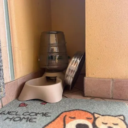 Appartement Urban Oasis Ovada